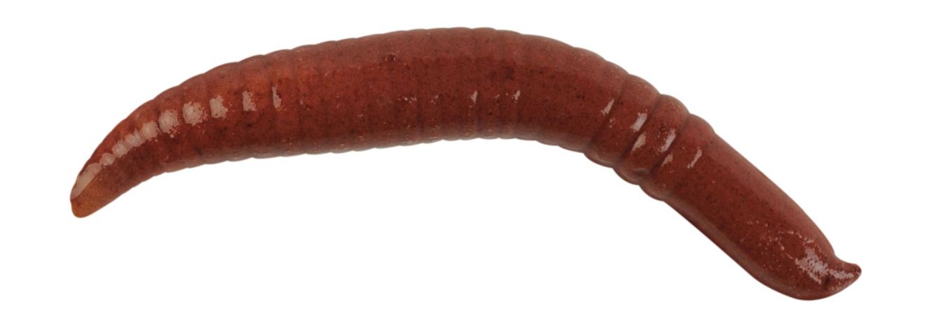 Červ Pinched Crawler Floating Berkley Gulp! 5cm