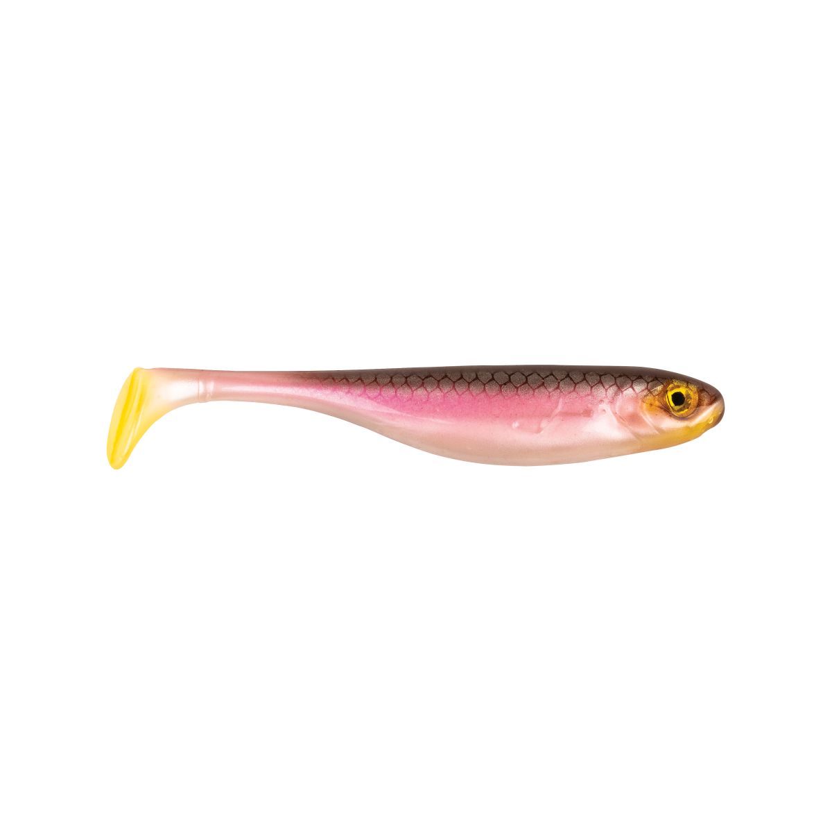 SNEAKSHAD 11CM WAGASAKI
