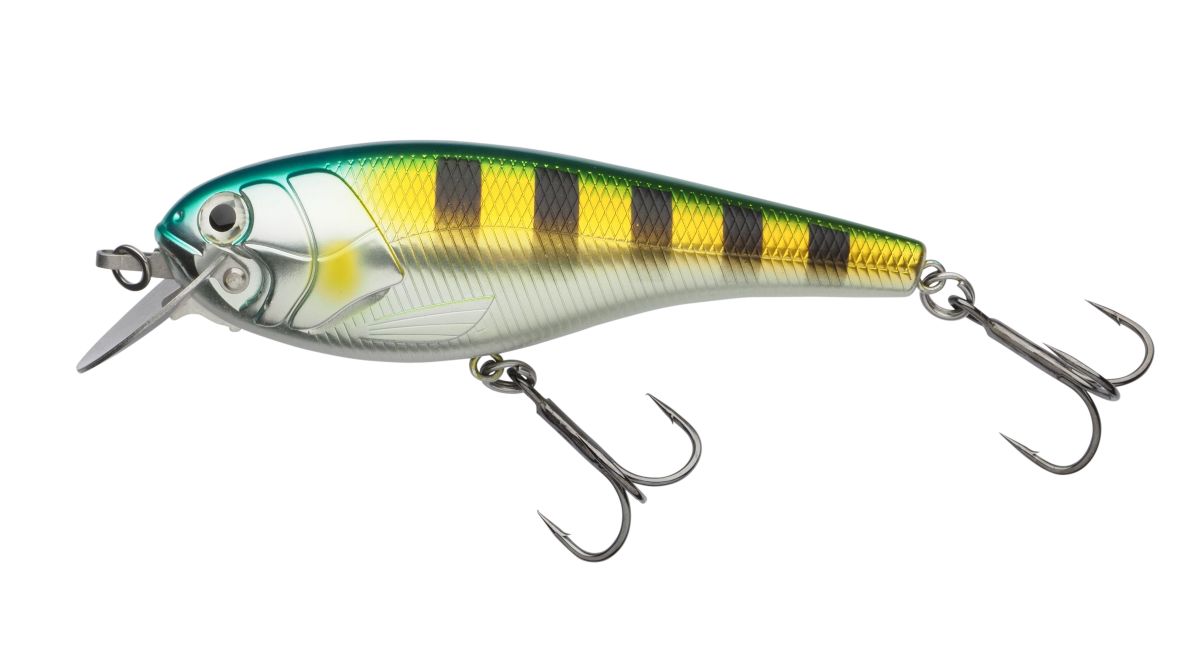 Beast Hi-Lo FL 9cm Striped Ayu